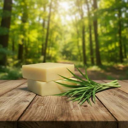 Natural Soap Bar | BUGS BE GONE